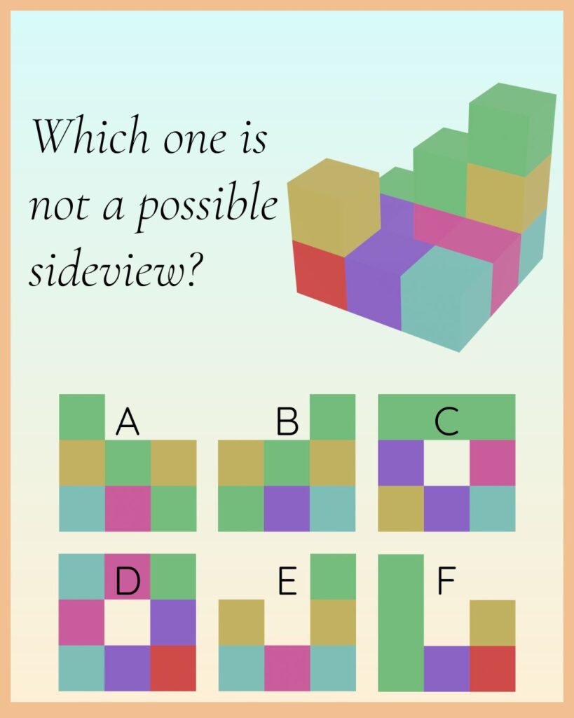Can you figure out which of the following is not a possible sideview?